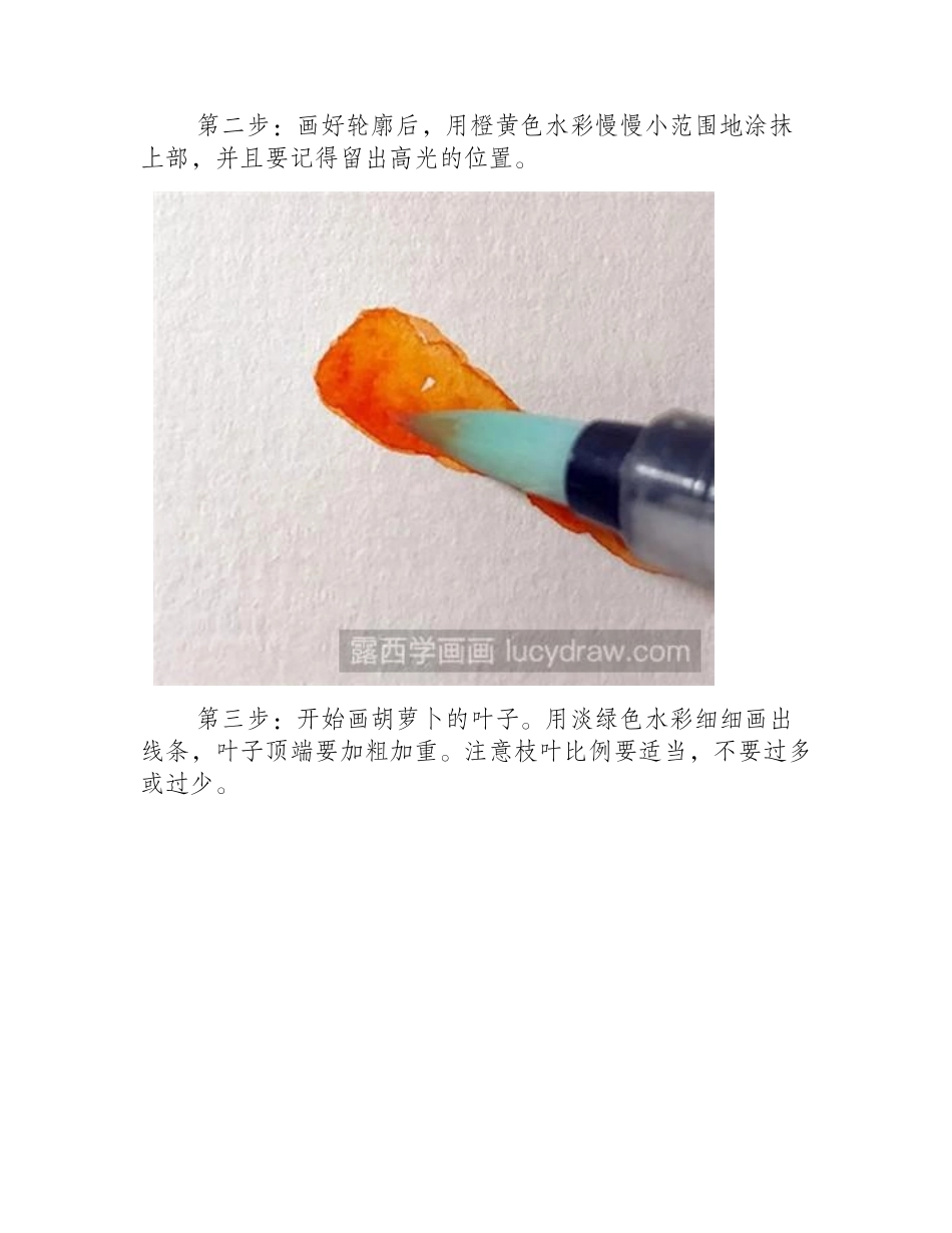 水彩画教程：胡萝卜水彩画教程_第2页