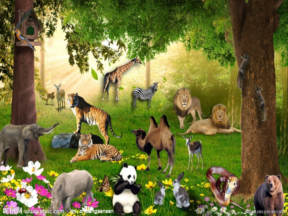 《小青蛙找家》课件樊婉琳_第3页