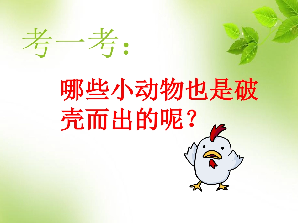 3.-出壳了-课件-(1)_第2页