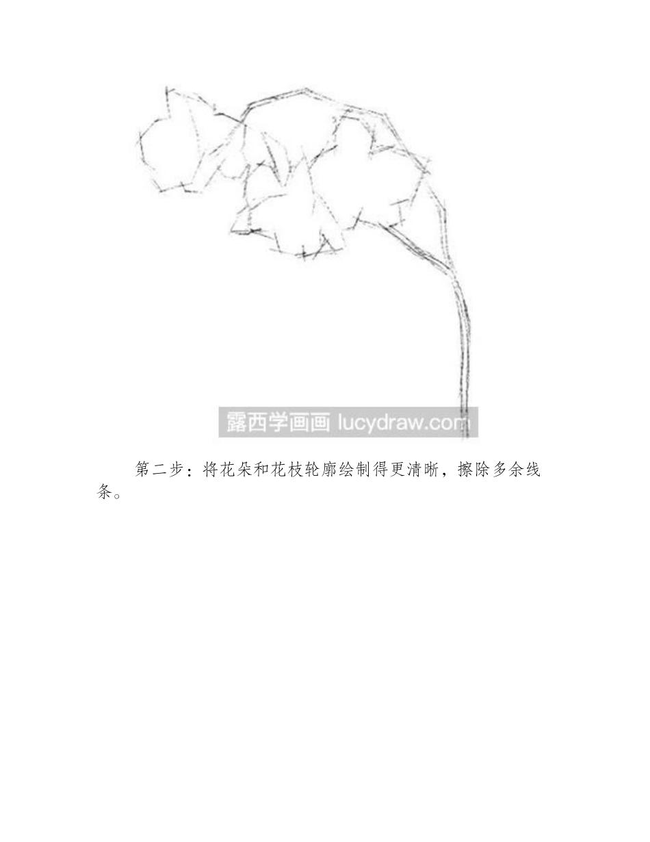 水粉画教程：兰花的绘制方法水粉画教程_第2页