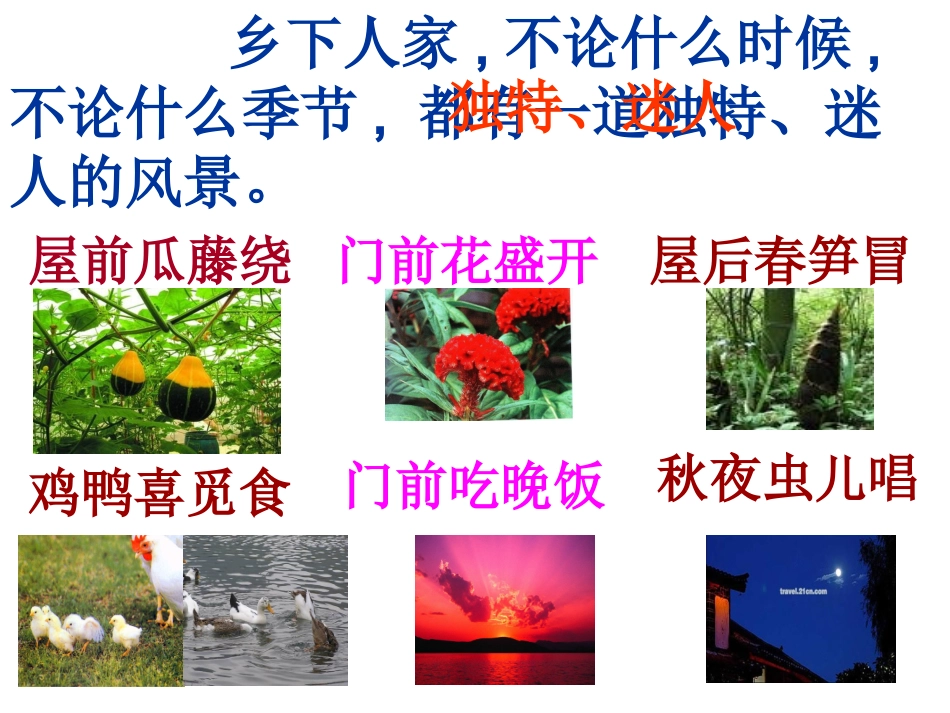 乡下人家 (3)_第2页