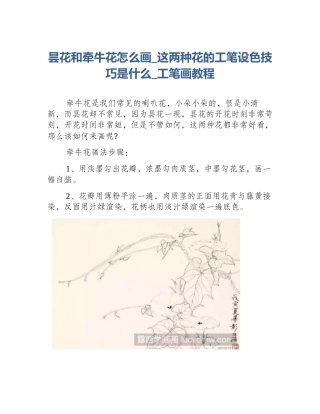 昙花和牵牛花怎么画_这两种花的工笔设色技巧是什么_工笔画教程