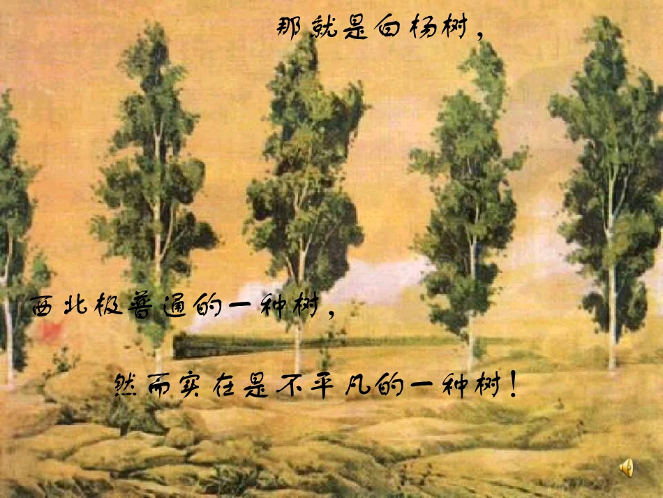白杨礼赞课件_第2页