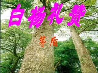 白杨礼赞课件