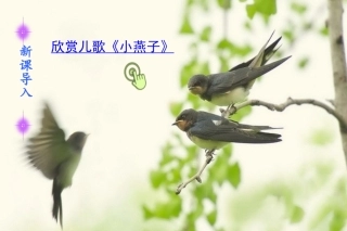 三年级上册《燕子》教学设计