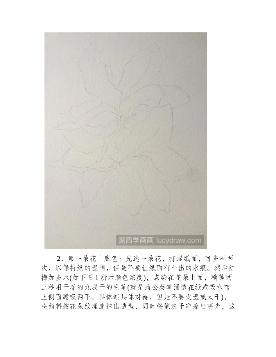 双玉兰水彩画教程水彩画教程_第2页