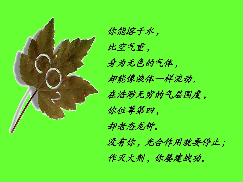 二氧化碳制取的探究 (2)_第2页
