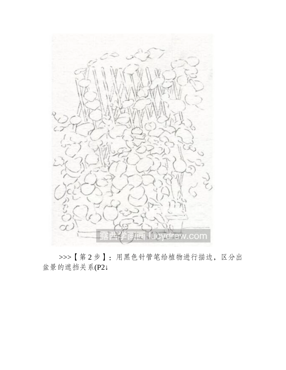 水彩画教程：教你画绿植水彩画教程_第2页