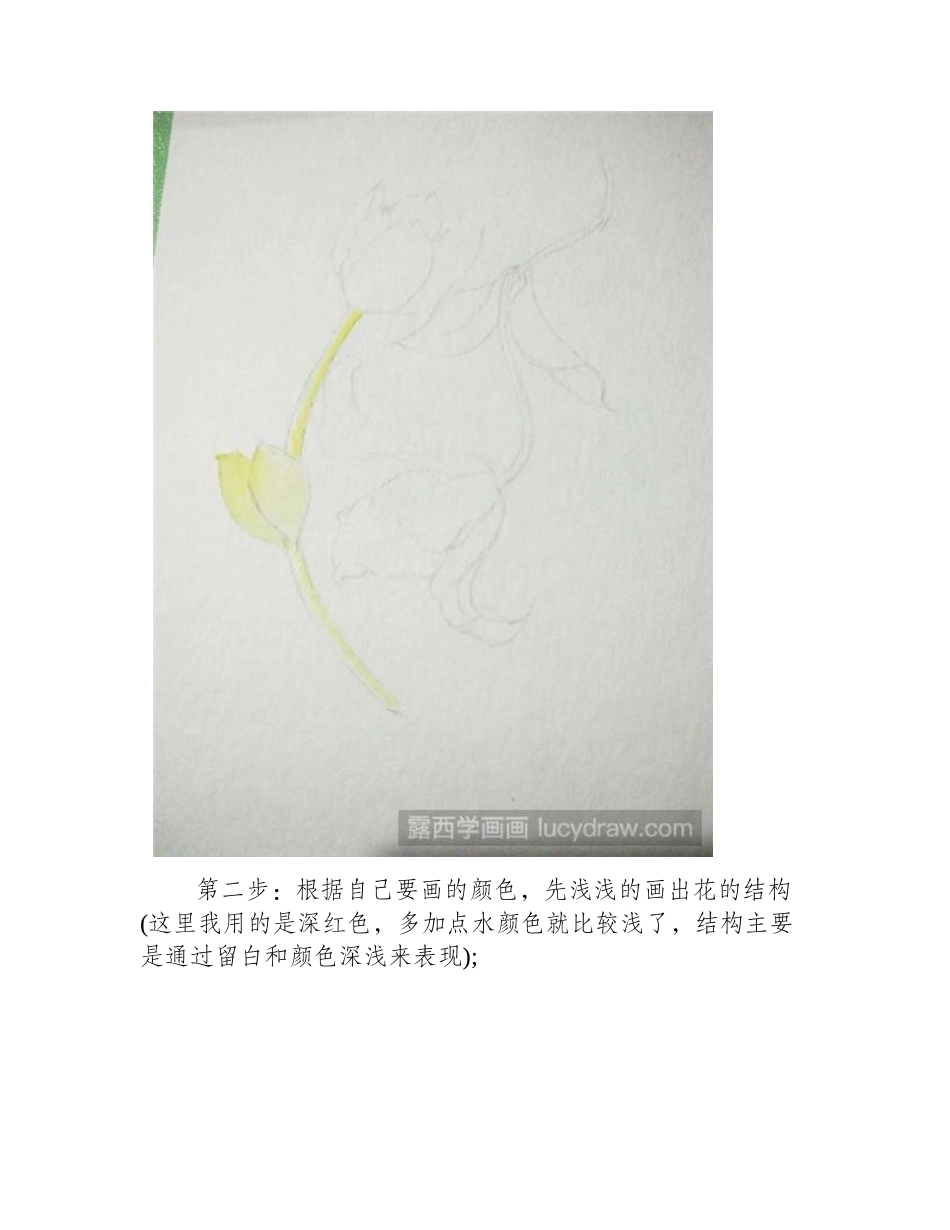 双生花水彩画教程水彩画教程_第2页