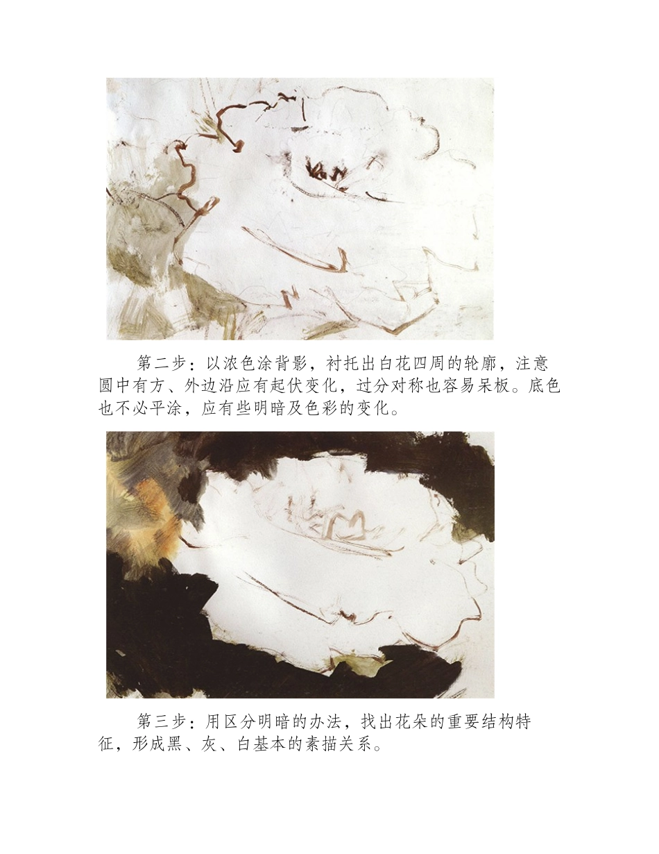 水粉画牡丹的画法教程水粉画教程3_第2页
