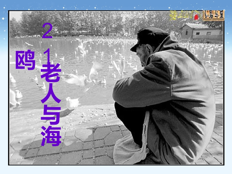 《老人与海鸥》教学课件1_第2页