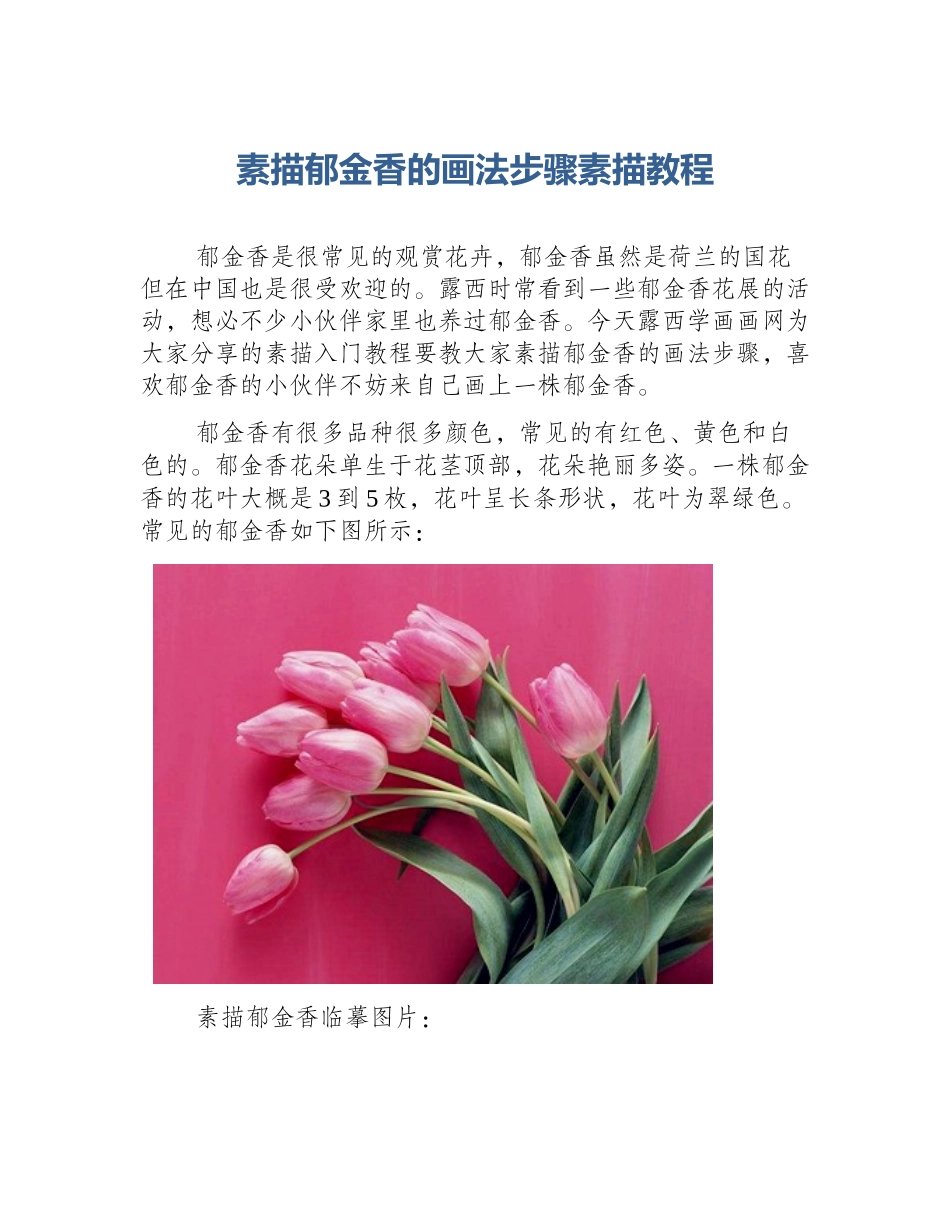 素描郁金香的画法步骤素描教程_第1页