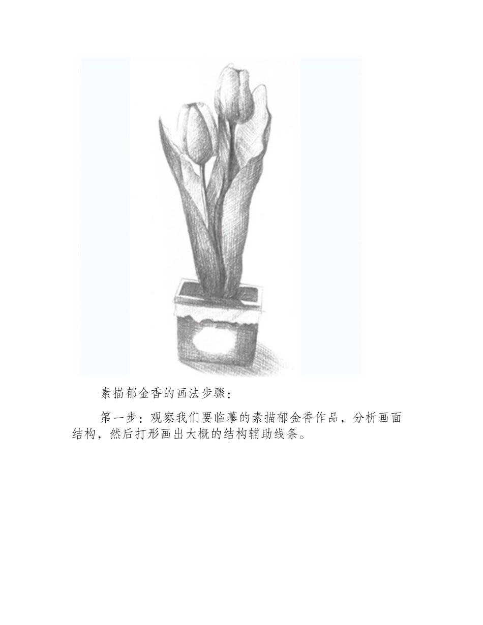 素描郁金香的画法步骤素描教程_第2页