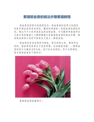 素描郁金香的画法步骤素描教程
