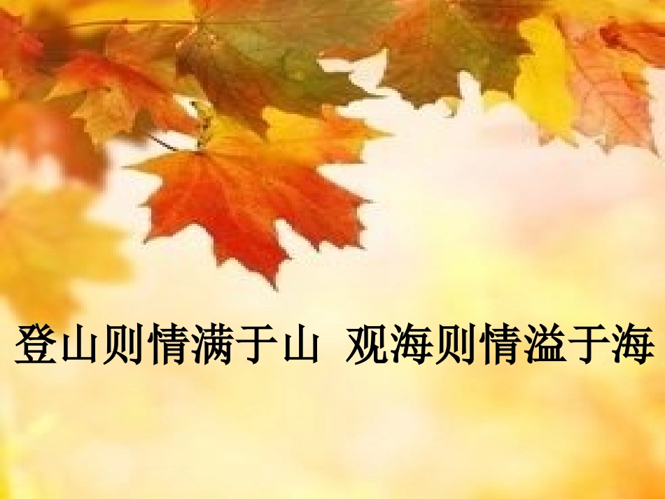 面积和面积单位_第1页