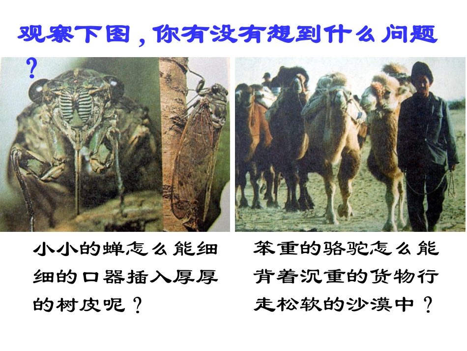 压力和压强 (2)_第2页