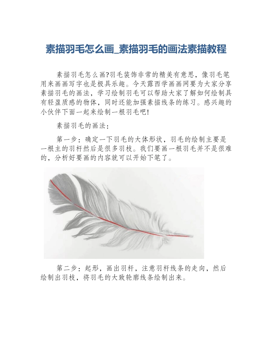 素描羽毛怎么画_素描羽毛的画法素描教程_第1页