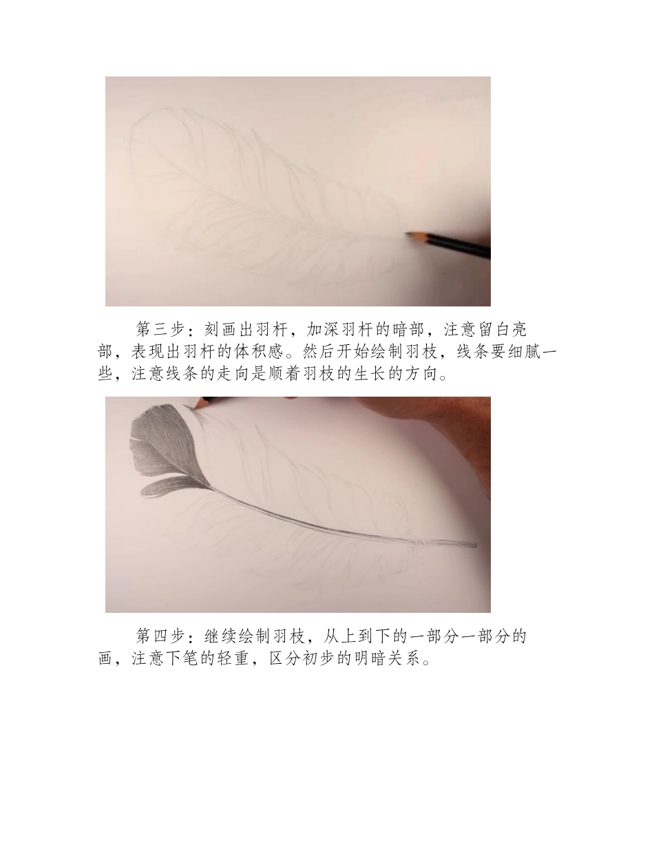 素描羽毛怎么画_素描羽毛的画法素描教程_第2页