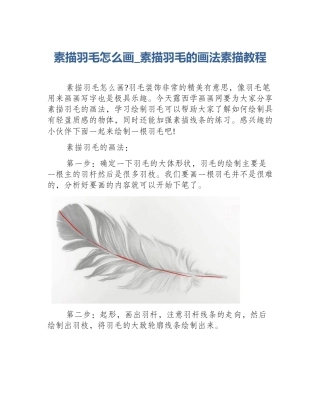 素描羽毛怎么画_素描羽毛的画法素描教程