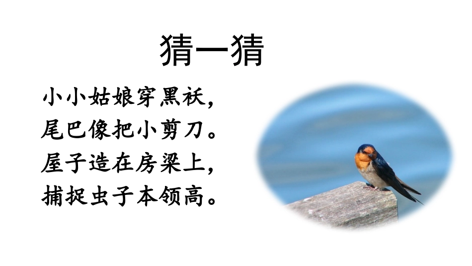 燕子第一课时课件_第1页