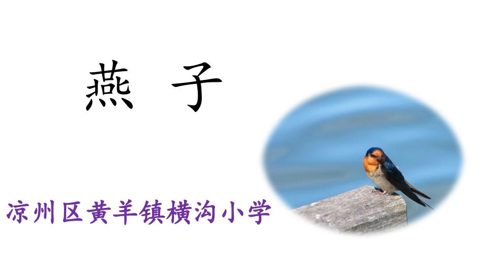 燕子第一课时课件_第2页