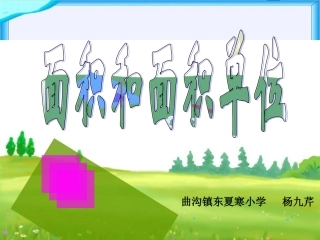 《面积和面积单位》课件杨九芹