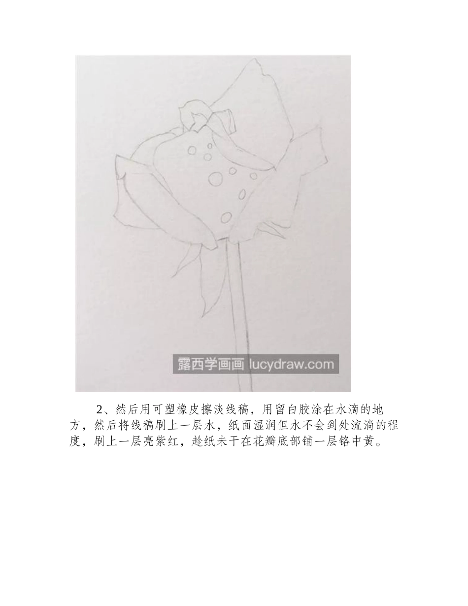 水彩月季怎么画_粉月季绘画步骤有几步_水彩画教程_第2页