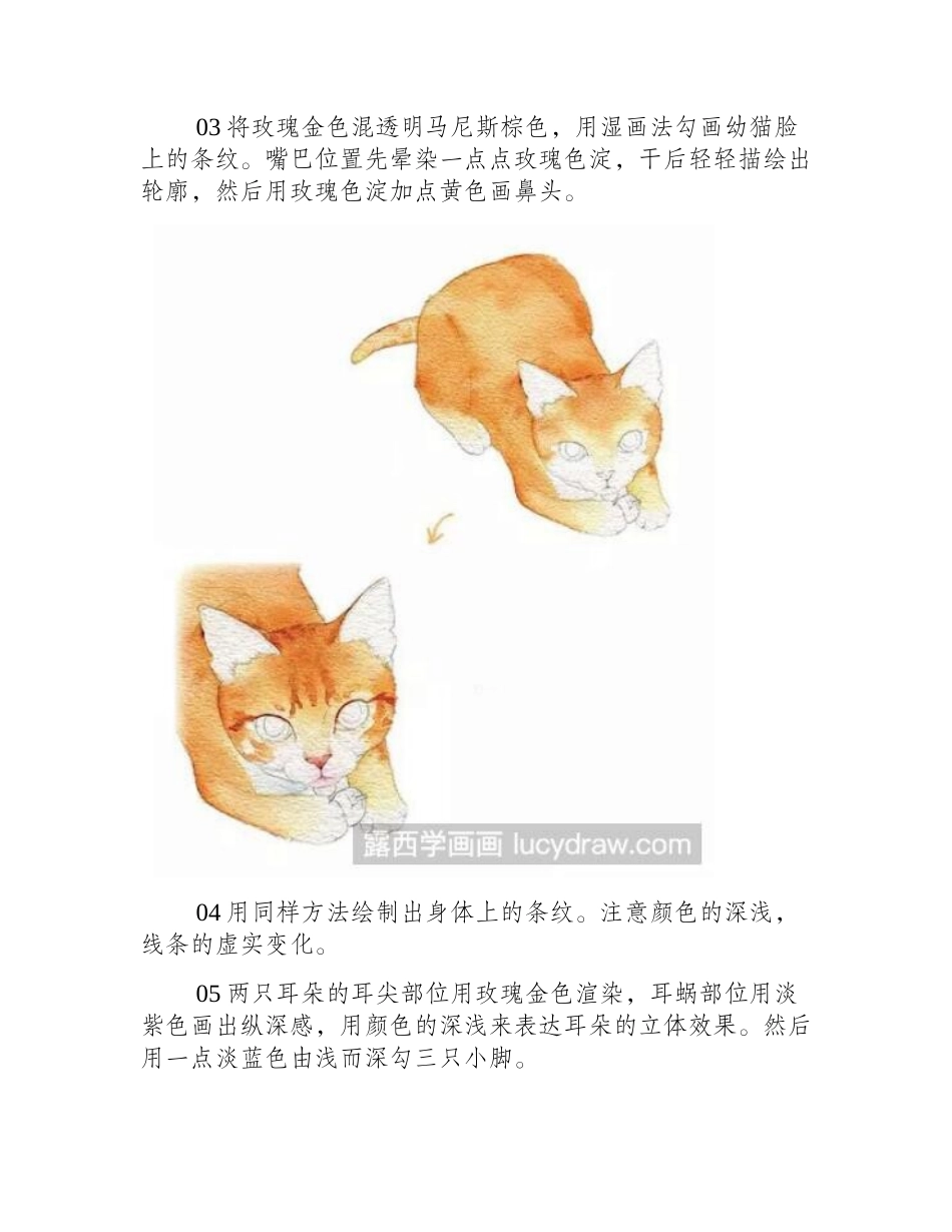 水彩画教程：怎么画可爱的幼猫水彩画教程_第2页