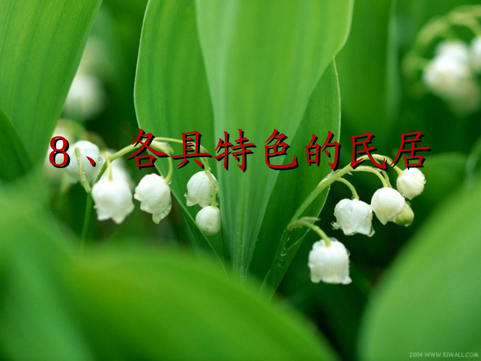 各具特色的民居___优秀课件_第1页