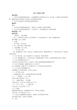 《老人与海鸥》教案 (2)