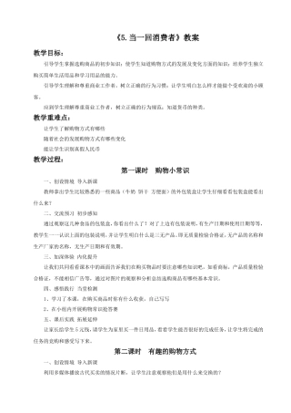 《5.当一回消费者》教案