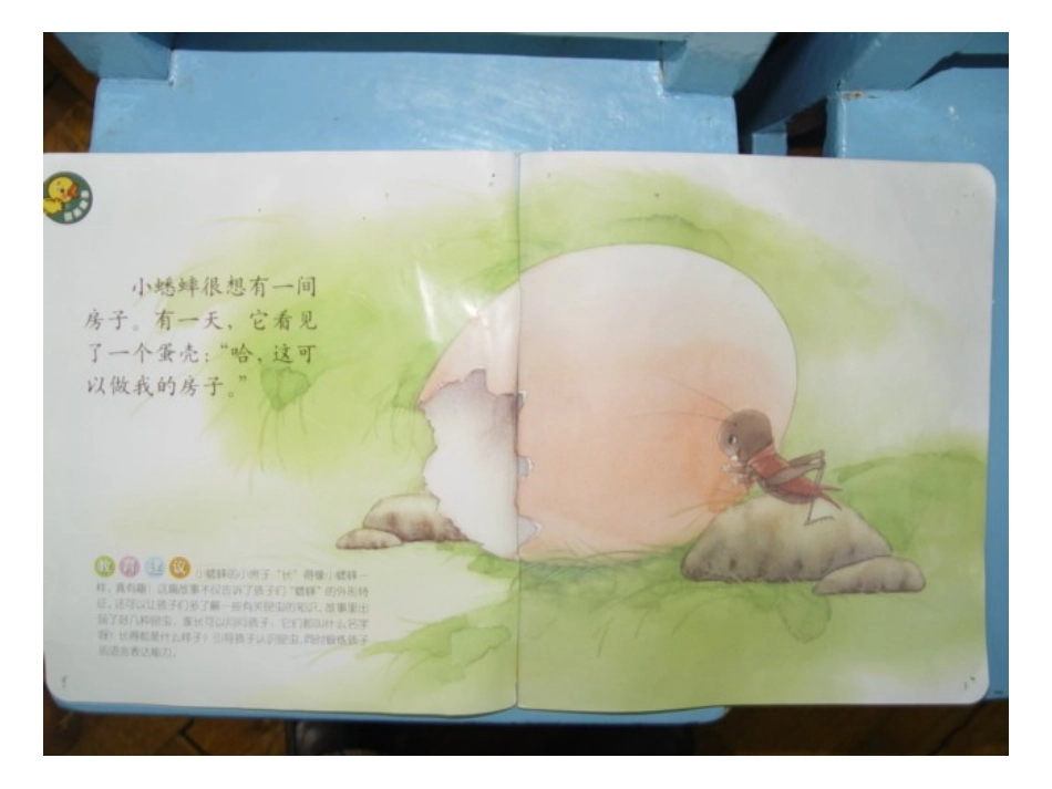 《蛋壳方子》_第2页