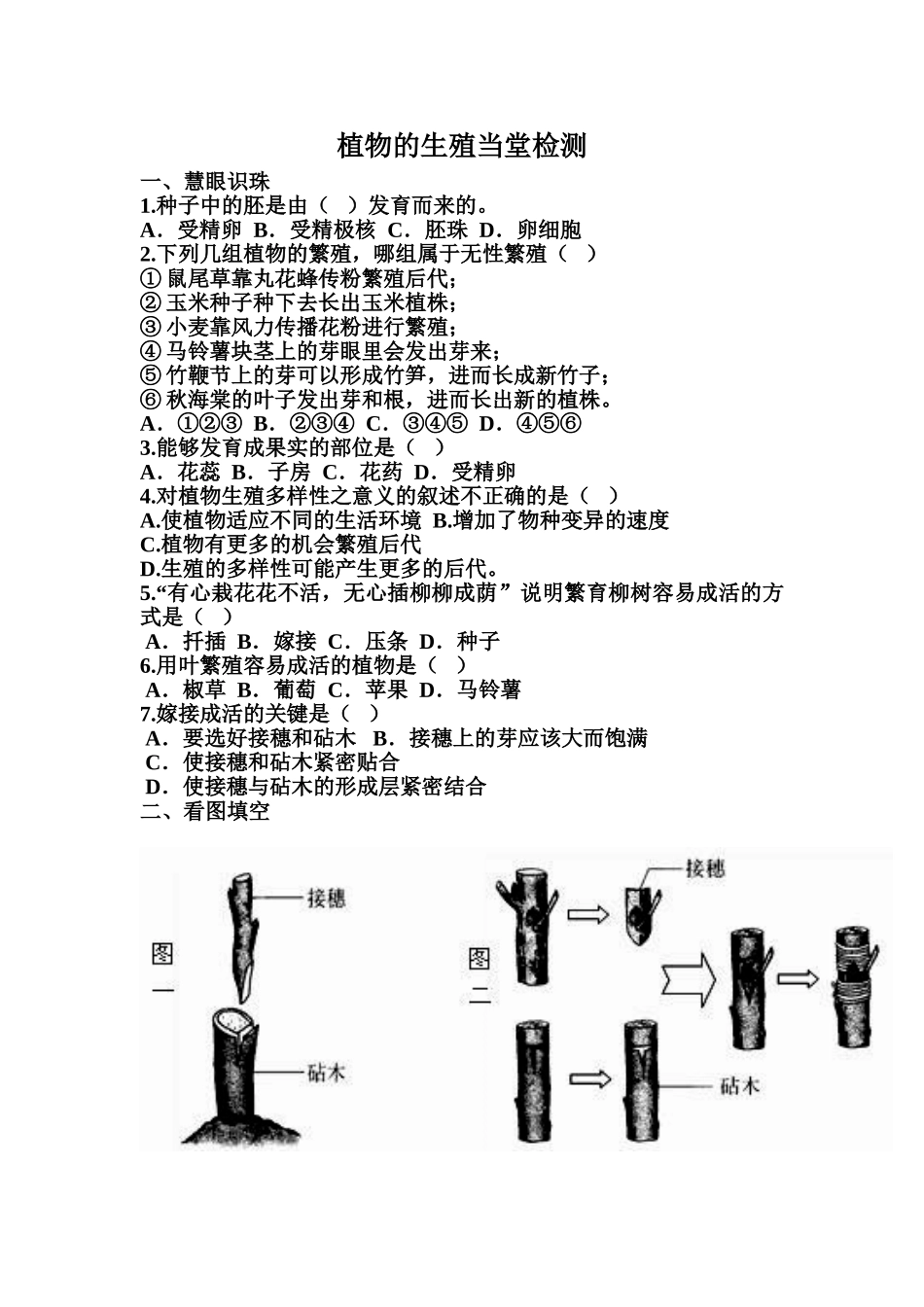 植物的生殖当堂检测_第1页