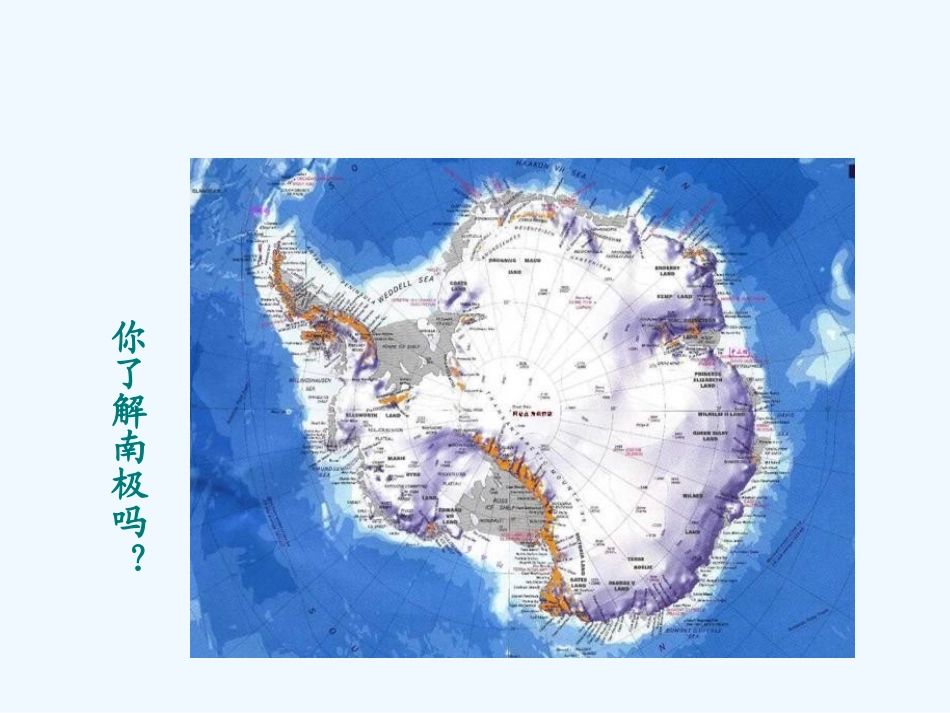 (部编)初中语文人教2011课标版七年级下册《伟大的悲剧》-(8)_第3页