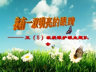 我有一双明亮的眼睛主题班会