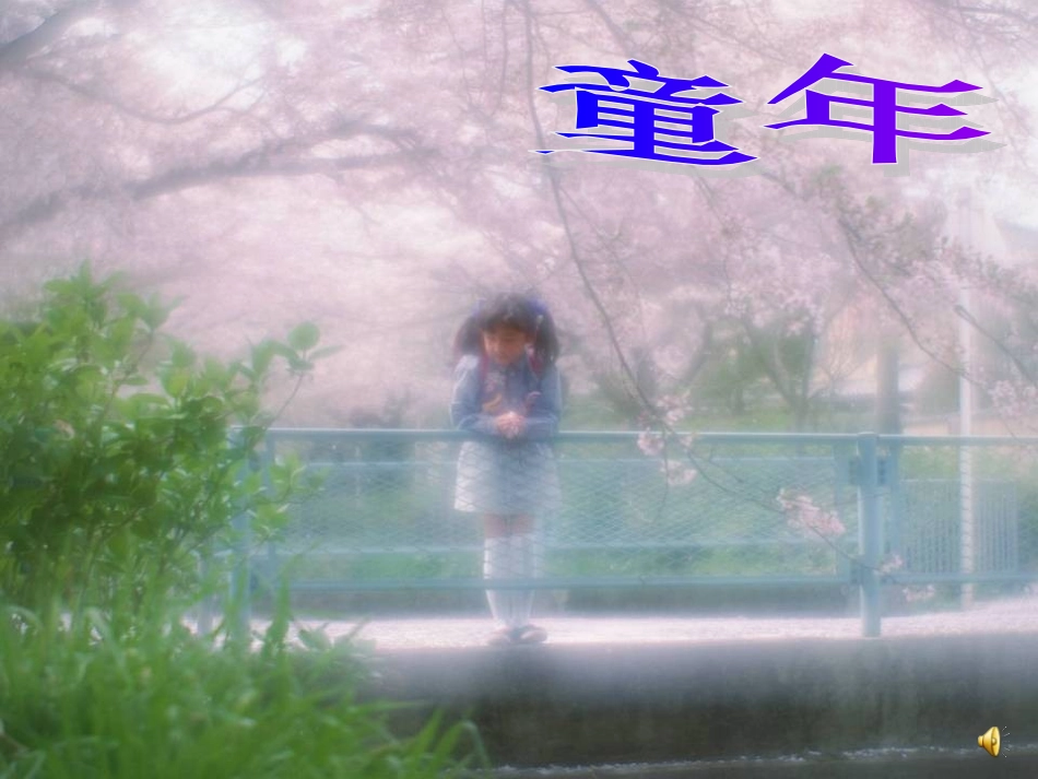 三颗枸杞豆正式课件_第1页