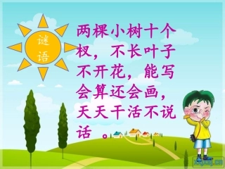 《胖乎乎的小手》课件