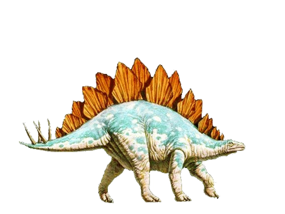 20-恐龙-(1)_第3页