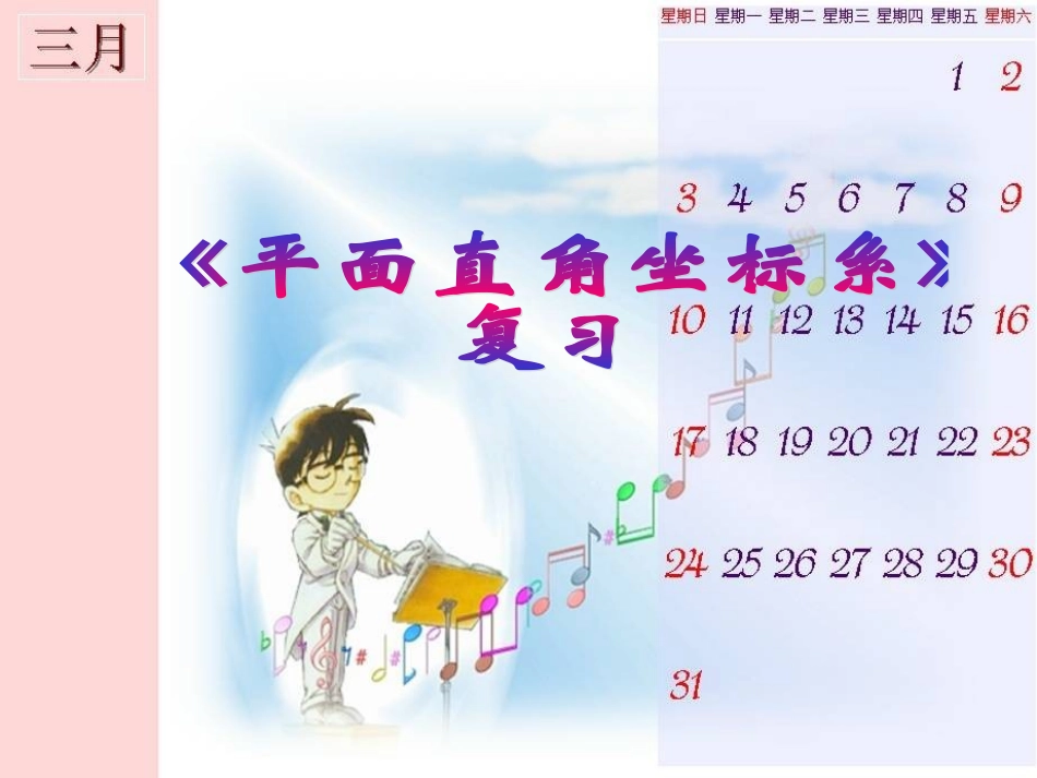 平面直角坐标系的复习_第1页