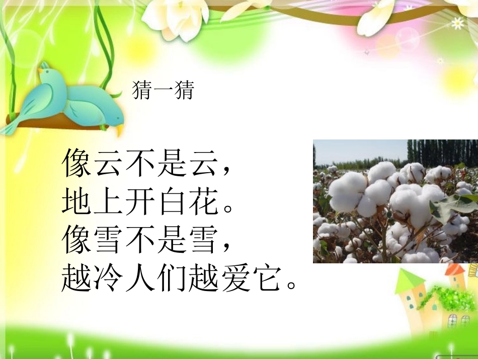(部编)人教语文2011课标版一年级下册19.棉花姑娘-PPT课件_第1页