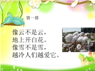 (部编)人教语文2011课标版一年级下册19.棉花姑娘-PPT课件