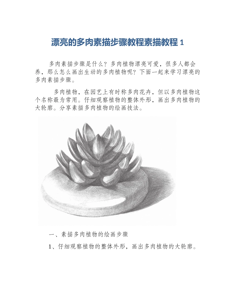 漂亮的多肉素描步骤教程素描教程1_第1页
