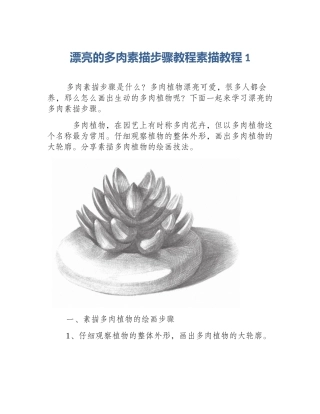 漂亮的多肉素描步骤教程素描教程1