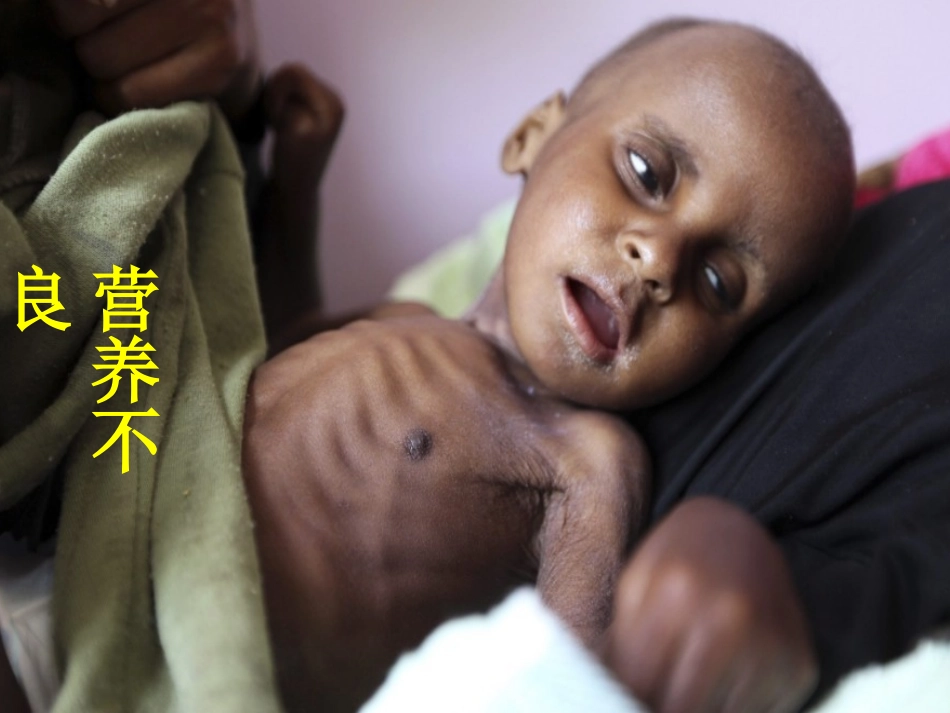 第三节合理膳食(谭)_第3页