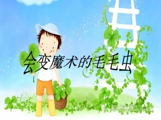 会变魔术的毛毛虫