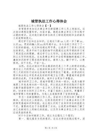 城管执法工作心得体会 