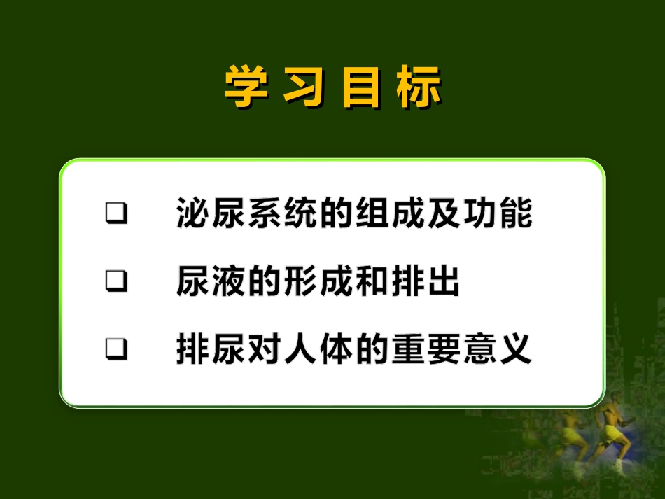 尿的形成和排出课件（曹继素）_第2页