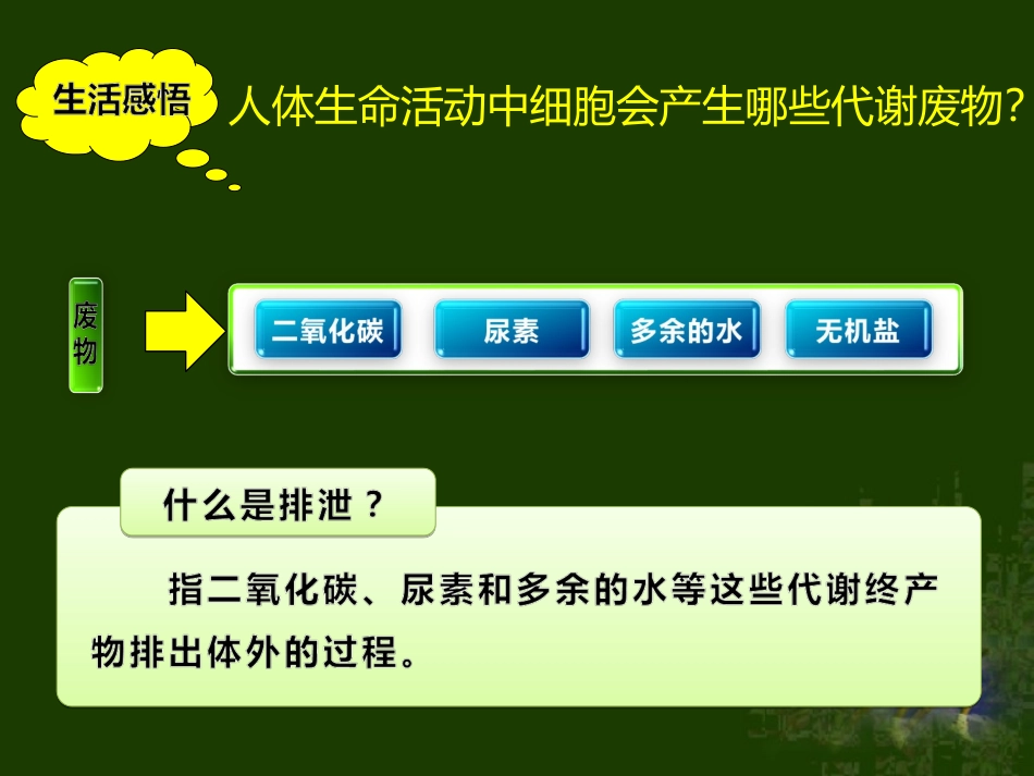 尿的形成和排出课件（曹继素）_第3页