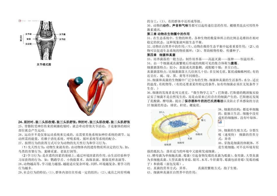 2013年人教版八年级上册生物期末复习提纲[1]_第2页