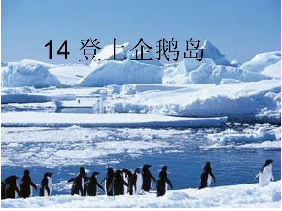 登上企鹅岛课件_第1页